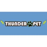 Thunder Pet